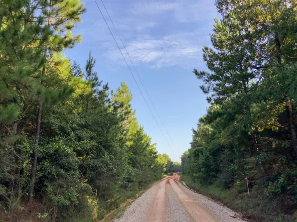 0 County Line Rd, Livingston, TX 77351