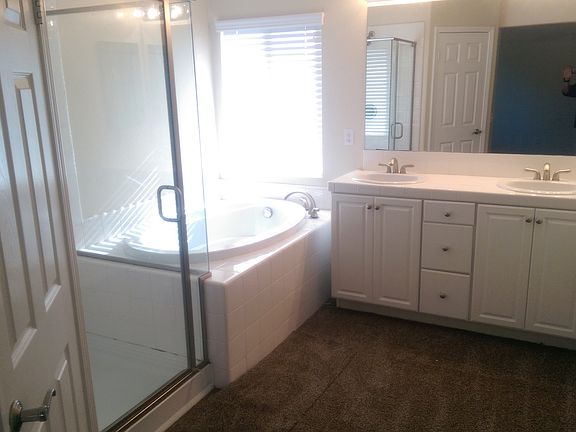 Separate Mastr Shower and Tub