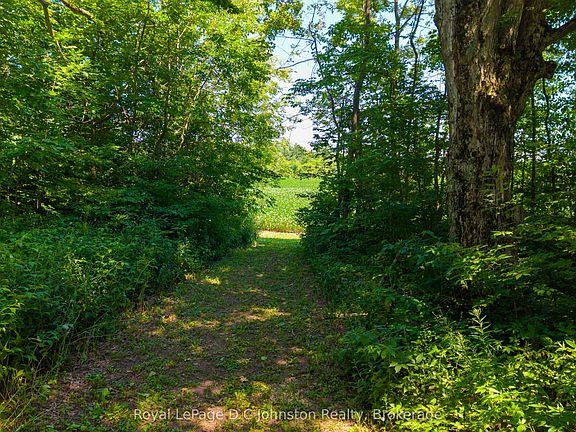3rd image of 305 Side Road 25