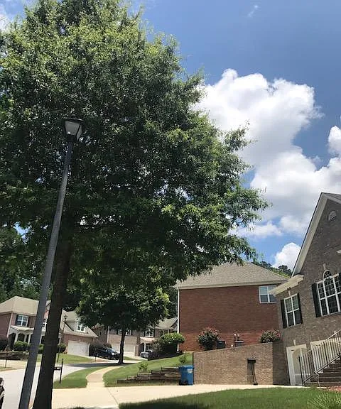 3138 Brookwood Oak Ln SW — Photo 23
