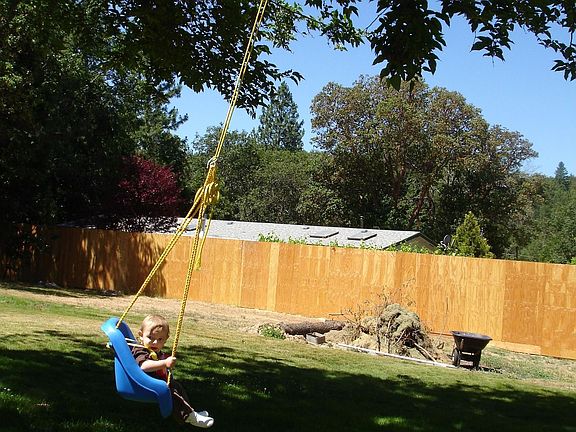 front yard, new fence