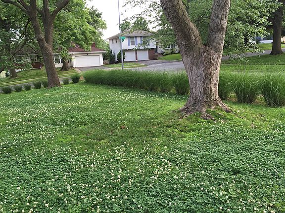 Front yard