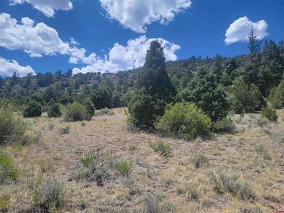 1287 Bear Creek Circle, South Fork, CO, 81154