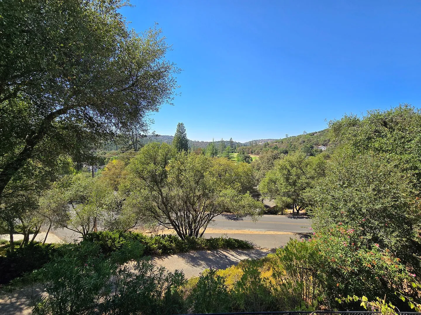 18716 Falcon Loop photo 1