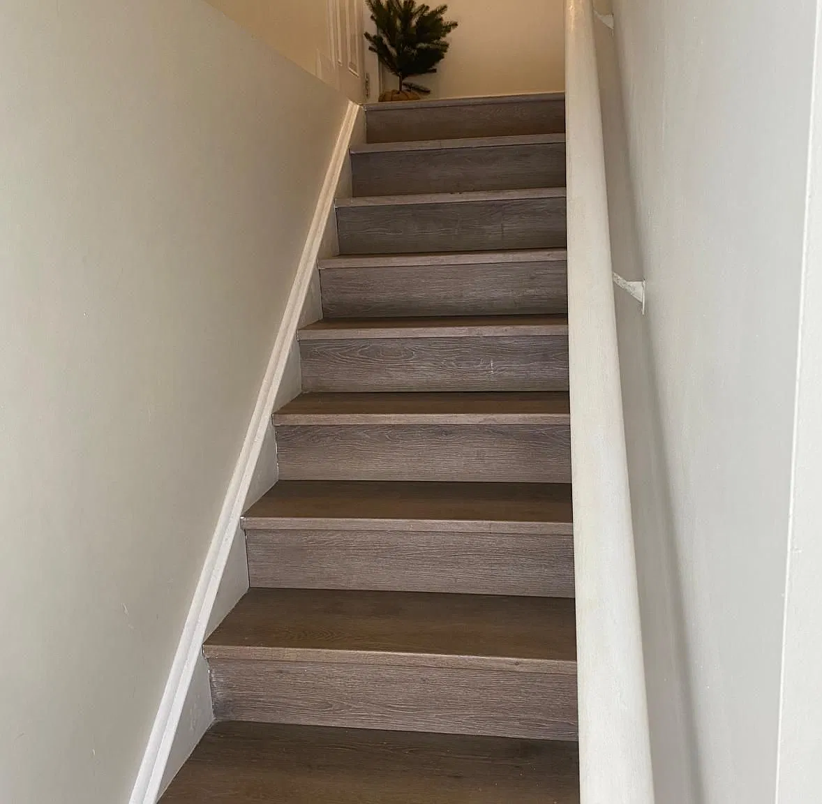 2 bed, $2,000 — Photo 2