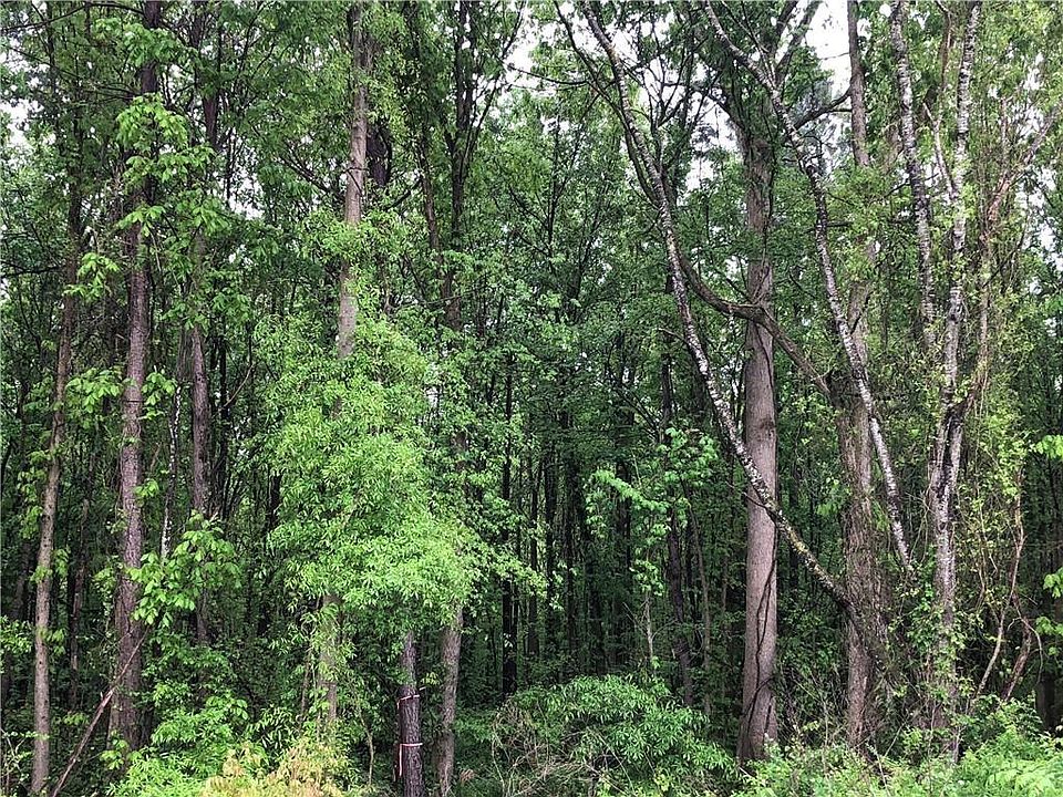 2nd image of 00 Cleveland Creek Rd