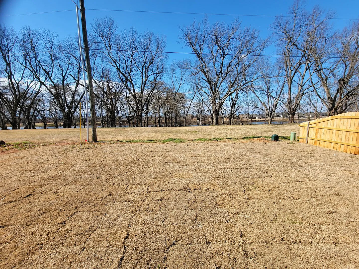 Rental Property 418 Mangrove Ln — Photo 4