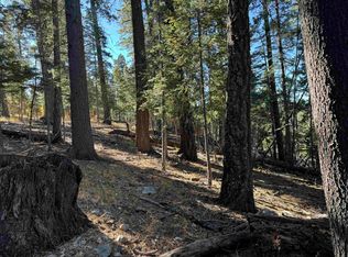 800 Shells Ln, Cloudcroft, NM 88317