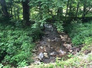 406 Mathis Rd, Flag Pond, TN 37657