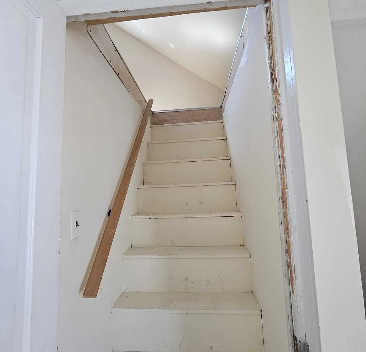 11 Ann Street - 1 — Photo 4