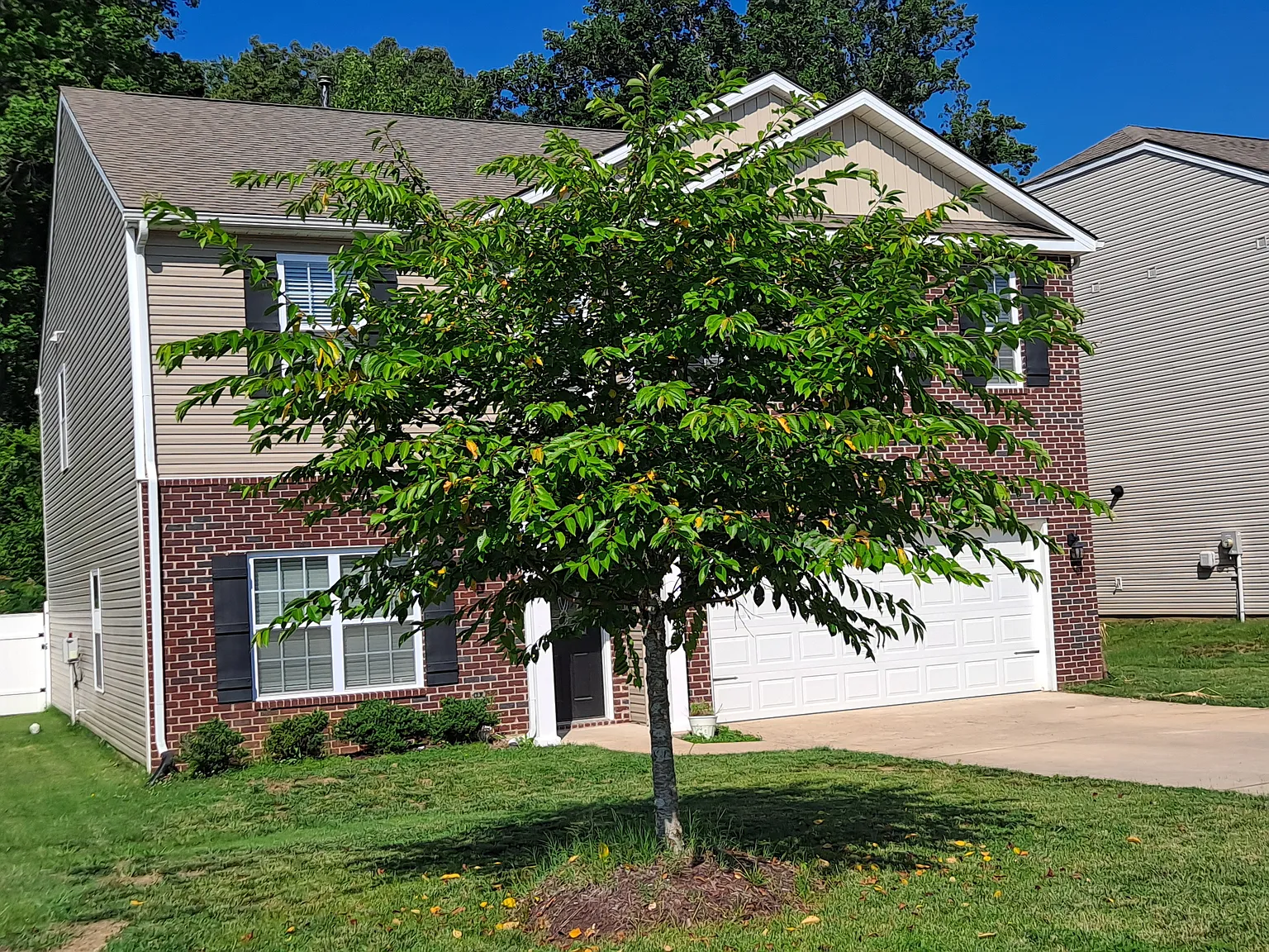4 bed, 2.5 bath, 2814 sqft, $2,900 — Photo 2
