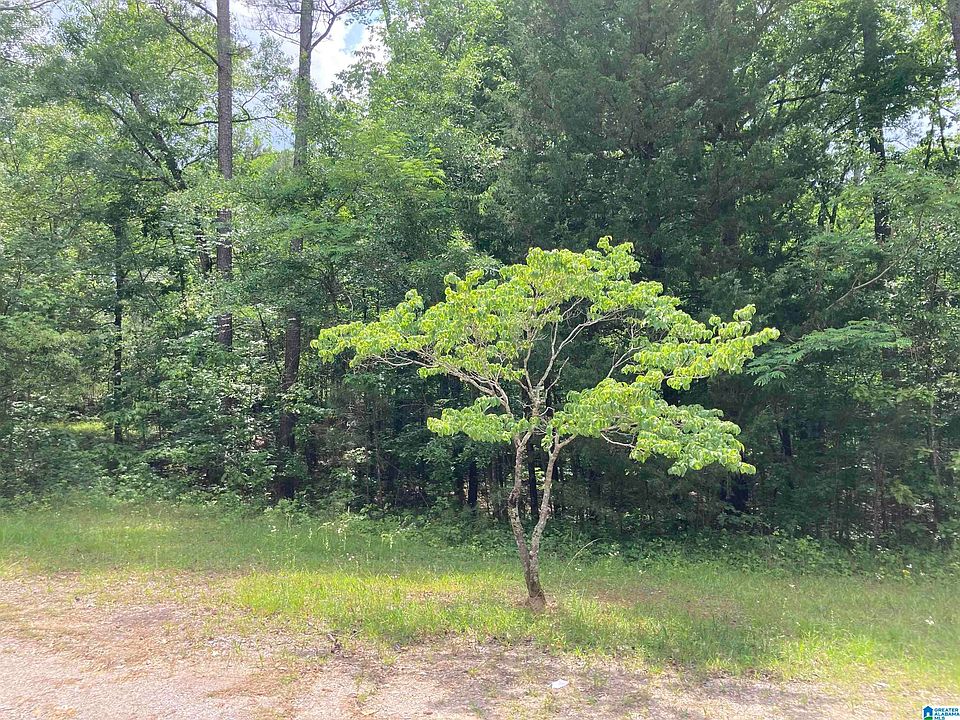 2nd image of 12 County Road 728