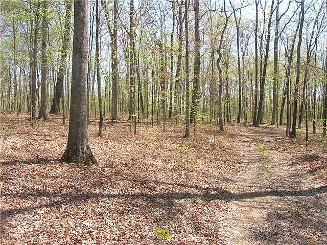 1st image of 1 Natchez Trace Pkwy