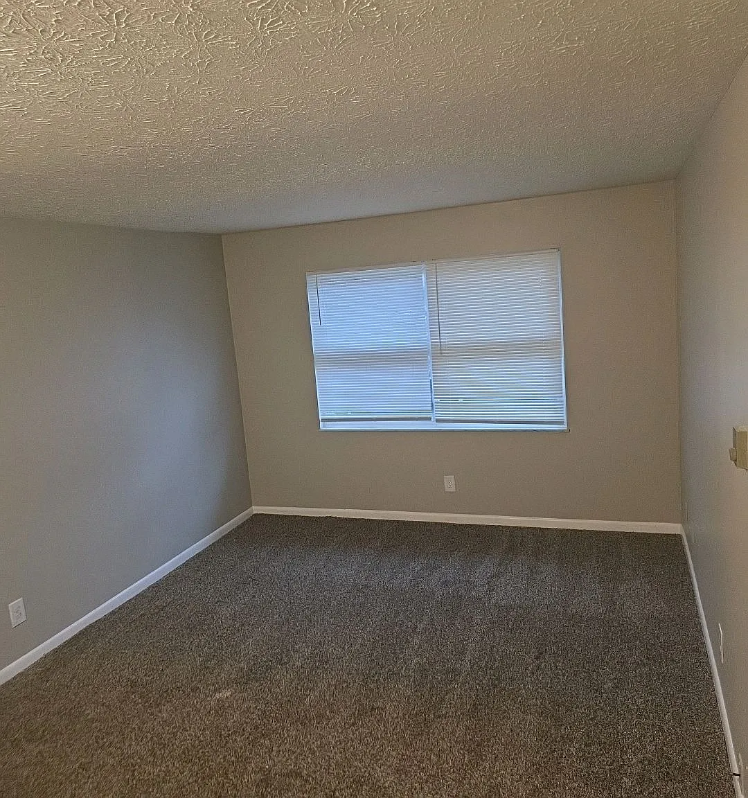 Ravenwood - Gagel1601-103 — Photo 3