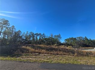 9388 N Old Mill Way, Citrus Springs, FL 34433