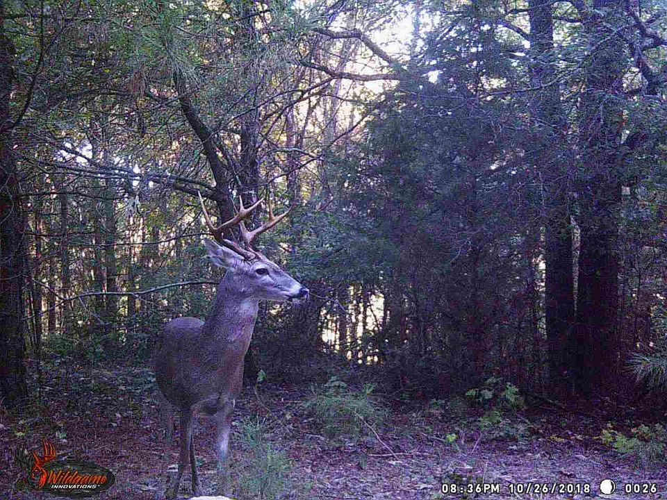 1st image of 1239 County Road 2117