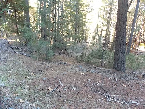 2nd image of 30456 Hunters Road