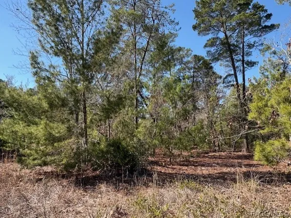 23 Tall Marigolds Ct, Homosassa, FL 34446