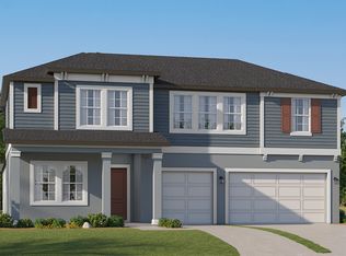 22856 Berry Patch Pl, Land O Lakes, FL 34637