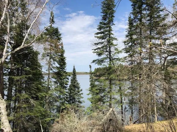 Xx6 Lake Hattie Trl SW, Backus, MN 56435