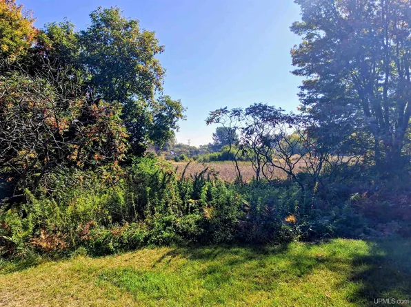 N 3rd St, Wells, MI 49894