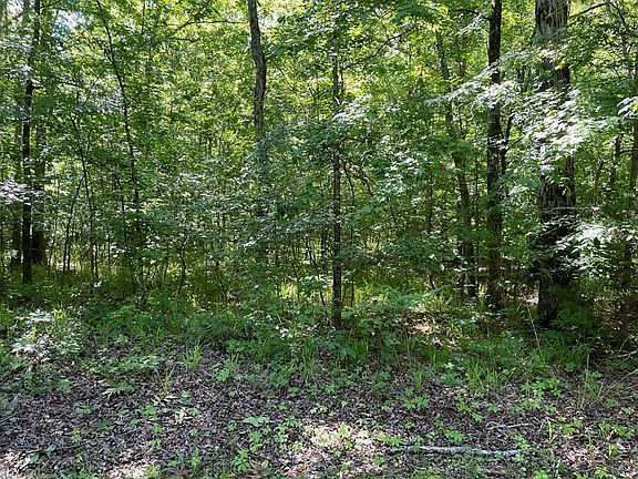 2nd image of 112 Fernbank Ln