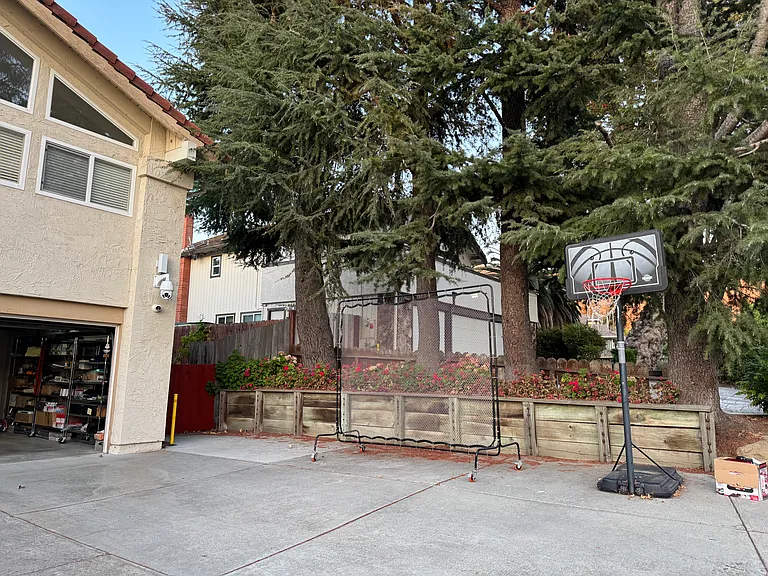 front yard