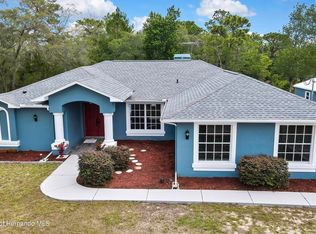 11379 Flower Ave, Weeki Wachee, FL 34613