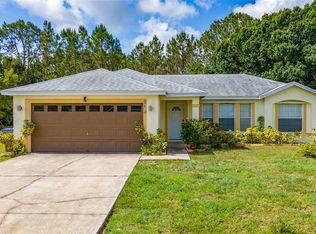 313 Greenwich Ct, Kissimmee, FL 34758