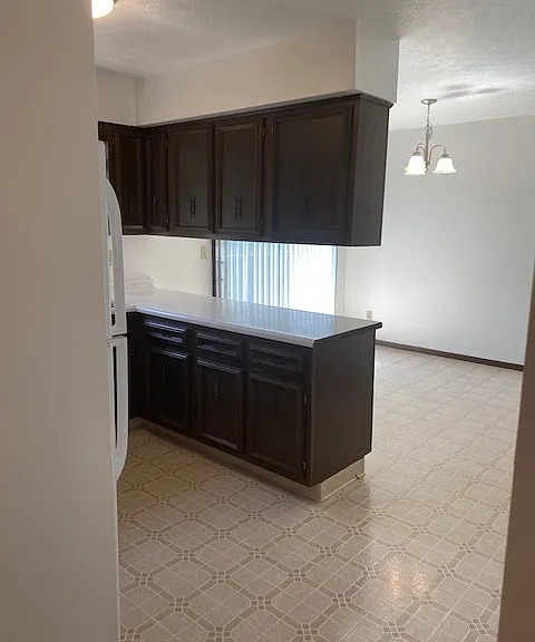 401 Tracy Ln #14 — Photo 11