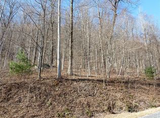 635 Eagle Ridge Rd #7, Zirconia, NC 28790