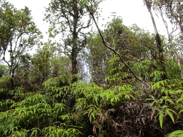 Kolea St Lot 28, Mountain View, HI 96771