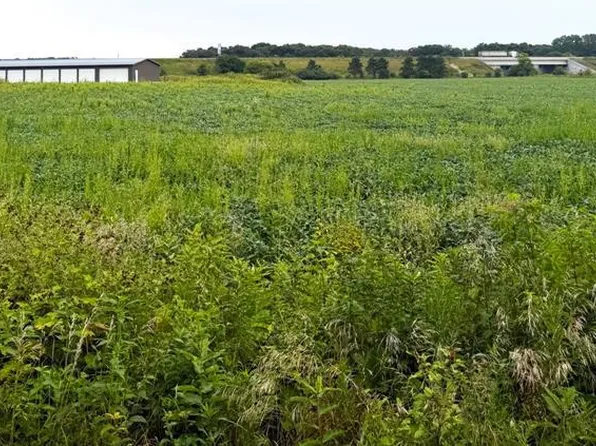 Lot 3 Van Tassel Rd, Osseo, WI 54758