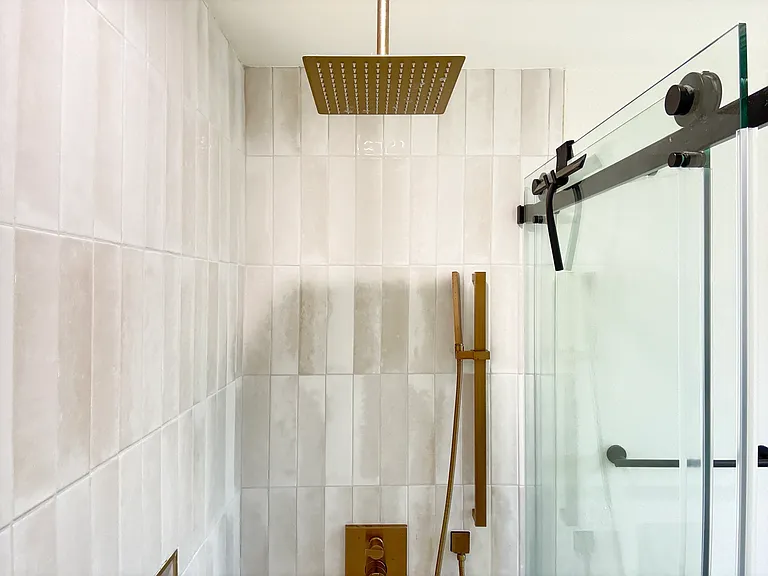Master Bathroom Luxury Shower