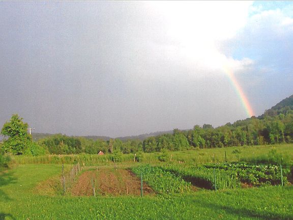 Organically managed garden