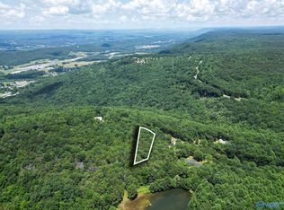 9 County Road 166, Fort Payne, AL 35967