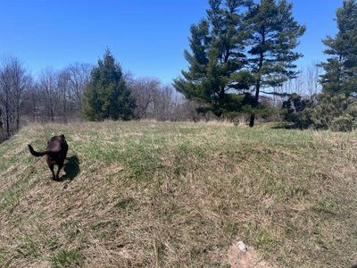 13251 Makinen Rd, Kaleva, MI, 49645