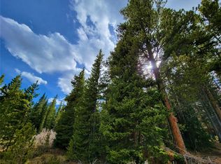 93 El Lobo Cir, Fairplay, CO 80440