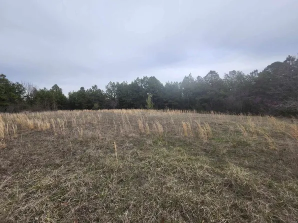 0M Splitlimb Rd, Raymondville, MO 65555