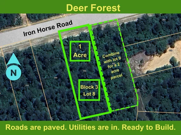 344 Iron Horse Rd Lot 8, Willis, TX 77378