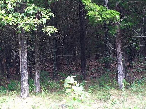 2nd image of 0 Silver Spur Ln