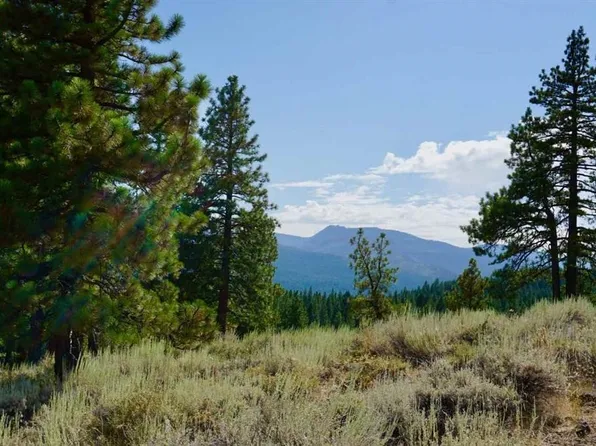 69555 Guidici Ln, Graeagle, CA 96103