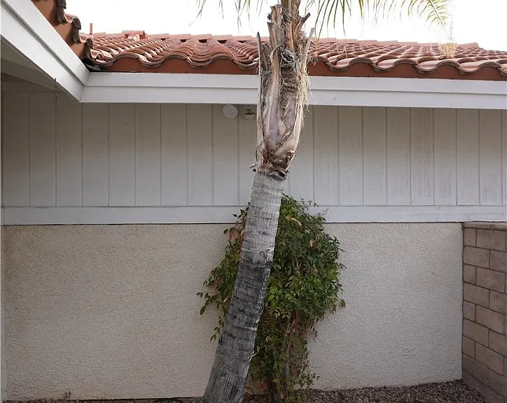 8328 Del Rey Ave — Photo 4