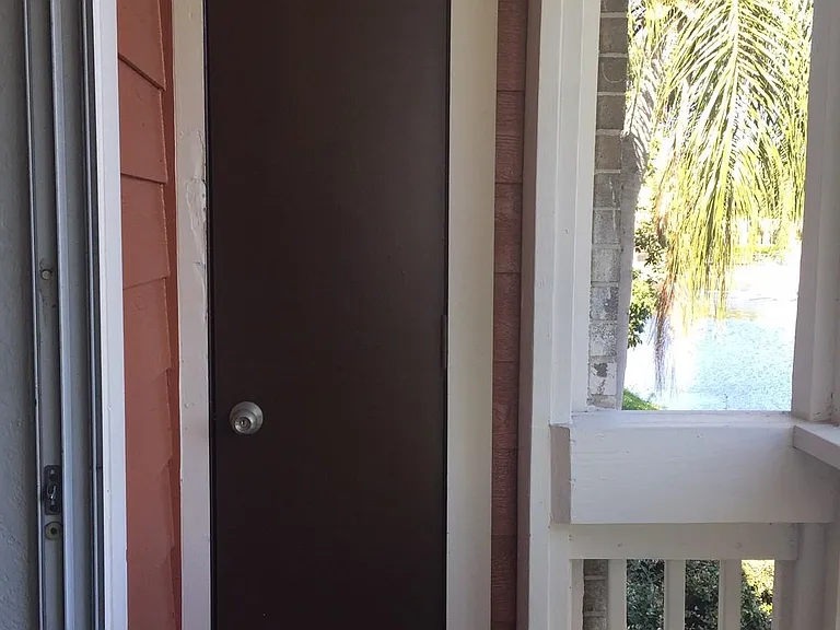 10200 Gandy Blvd N #911 — Photo 12