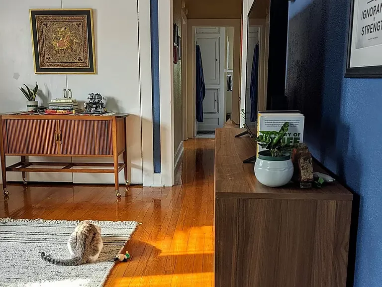 244 Natalen St #4 — Photo 12