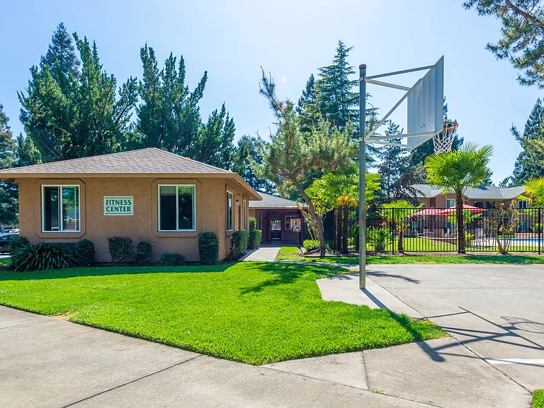 Pine Tree Apartments — Photo 44