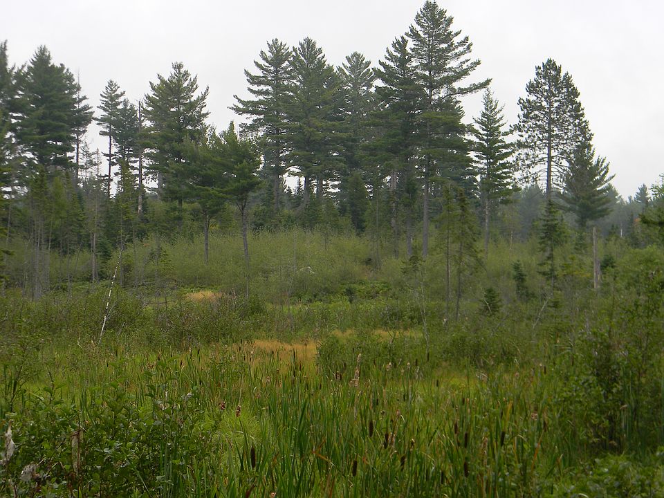 2nd image of Tbd Woods Road