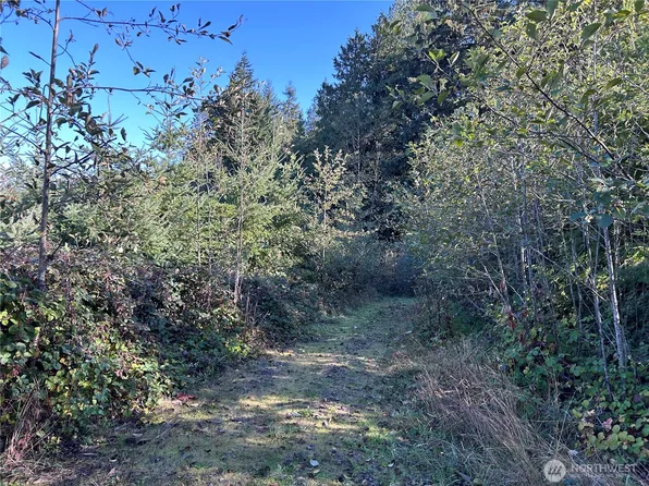 0 NKA Mt Brynion Road, Kelso, WA 98626