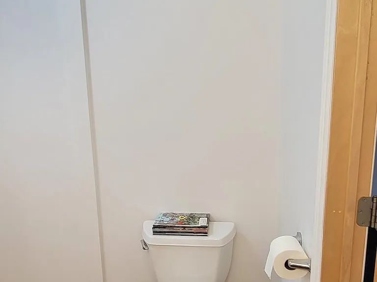 Lower-level bathroom