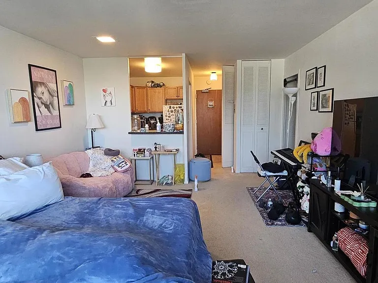 555 W Cornelia Ave #809 — Photo 6